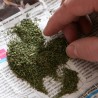 Полиция нашла наркотики у жителя села Веселое