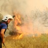 МЧС сообщает о локализации пожара под Судаком