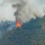 Появились фотографии последствий лесного пожара в районе Громовки