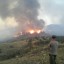 В районе Морского продолжают бороться с масштабным лесным пожаром