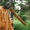 В Судаке незаконно вырубили деревья и кустарники на 3,4 миллиона рублей