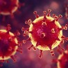 Аксенов: В Крыму подтверждено 6 новых случаев коронавирусной инфекции
