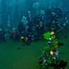 В Новом Свете дайверы провели традиционный подводный утренник