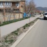 ​В Судаке украли деревья, высаженные в рамках акции «Сад Памяти»