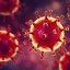 В Крыму выявлено семь новых случаев коронавируса