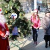 В Судаке состоялся традиционный карнавал ёлок «Зеленая красавица — 2018» (фоторепортаж) 52