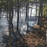 Туристы чуть не сожгли лес под Судаком, оставив непогашенный костер