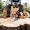 Прокуратура обнаружила в Судакском лесничестве 53 незаконно срубленных дерева