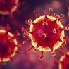 В Судаке создана «горячая линия» по вопросам коронавируса