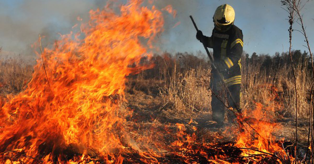 МЧС предупреждает о начале пожароопасного периода в Судаке