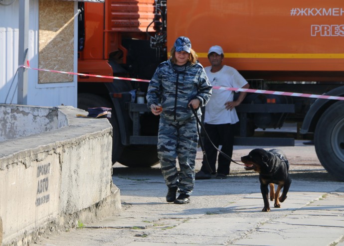 Специально обученная собака не нашла взрывчатку в подозрительной сумке в Судаке