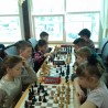 Судакчане успешно дебютировали на республиканском этапе соревнований по шахматам «Белая ладья» 3
