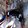 В Судаке спасатели помогли собаке, упавшей в 20-метровую расщелину