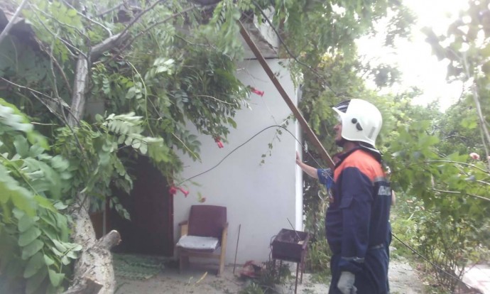 Сильный ветер повалил дерево и заблокировал дверь дома в Судаке