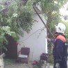 Сильный ветер повалил дерево и заблокировал дверь дома в Судаке