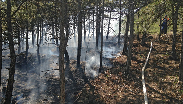 Туристы чуть не сожгли лес под Судаком, оставив непогашенный костер