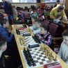 Судакчане успешно дебютировали на республиканском этапе соревнований по шахматам «Белая ладья» 8