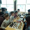 Судакчане успешно дебютировали на республиканском этапе соревнований по шахматам «Белая ладья» 13