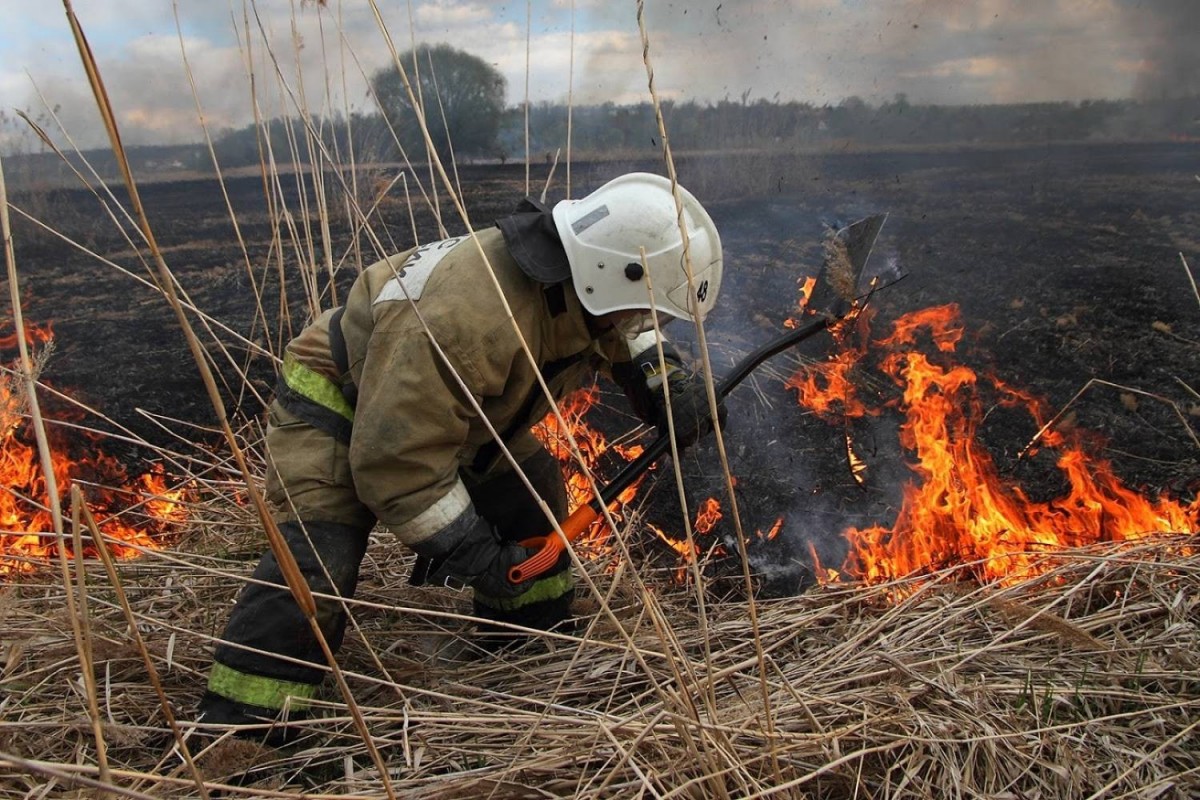 С 1 февраля в лесах Крыма устанавливается пожароопасный период
