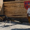 В Судаке в восемнадцатый раз зазвенели мечи — открылся рыцарский фестиваль «Генуэзский шлем» 6