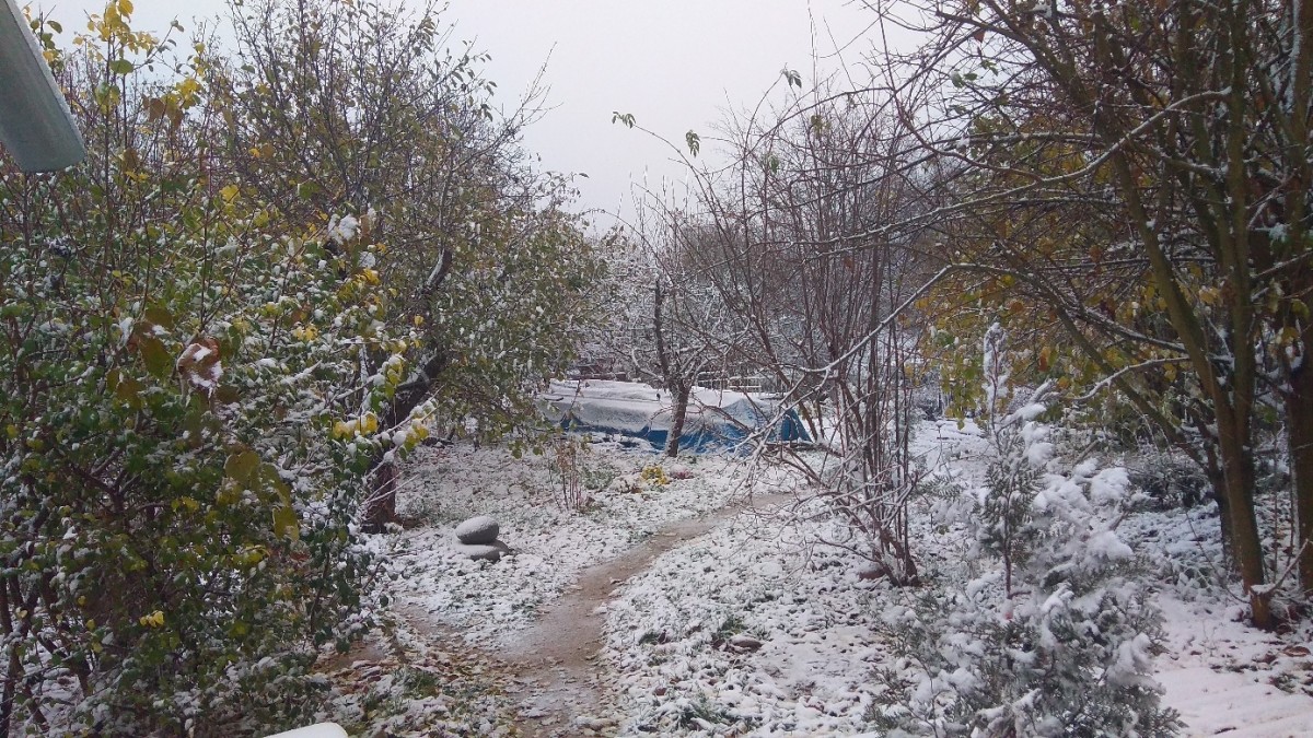 В Судаке выпал первый снег