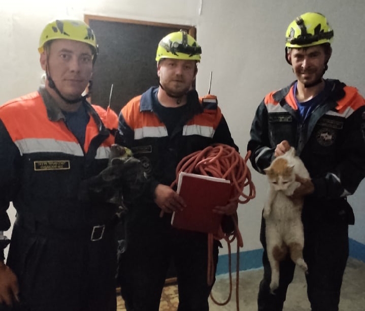 В Судаке спасли кота, упавшего в дымоход многоэтажки