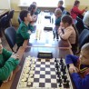 В Судаке состоялся турнир по быстрым шахматам, посвященный Дню народного единства 6