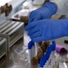 Российские ученые к лету планируют выпустить вакцину против коронавируса