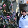 В Судаке состоялся традиционный карнавал ёлок «Зеленая красавица — 2018» (фоторепортаж) 168