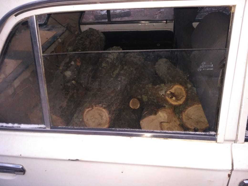 Лесная охрана задержала незаконного лесоруба в Переваловке