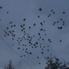 «Кемерово, мы с тобой!» — в Судаке прошла акция памяти о жертвах трагедии 18