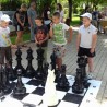 Шахматисты из Судака приняли участие в фестивале, посвященном Олимпийскому движению 0