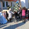 В Судаке состоялся традиционный карнавал ёлок «Зеленая красавица — 2018» (фоторепортаж) 129